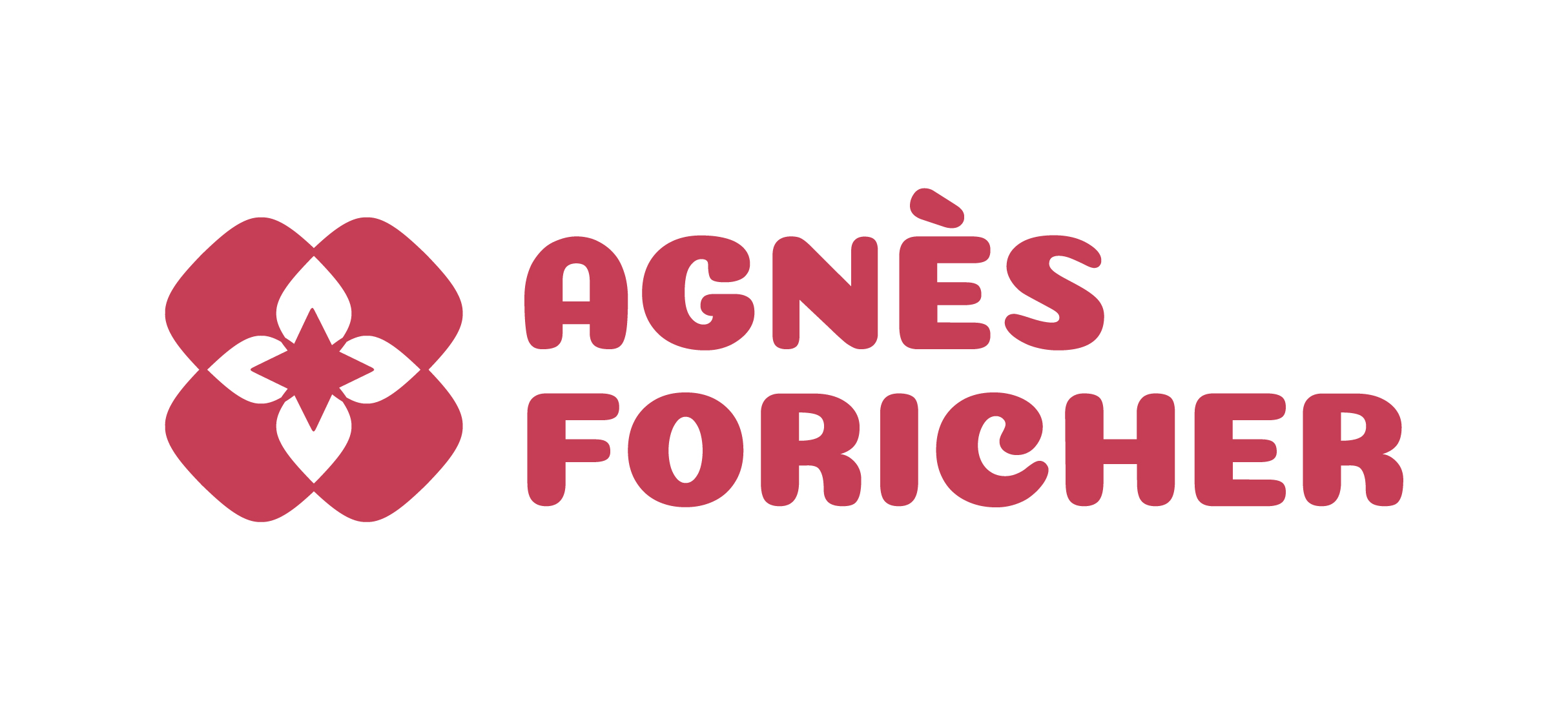 agnes-foricher conseils